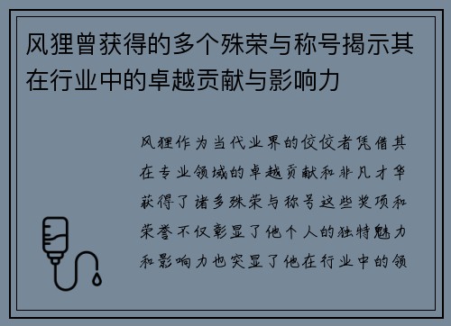 风狸曾获得的多个殊荣与称号揭示其在行业中的卓越贡献与影响力